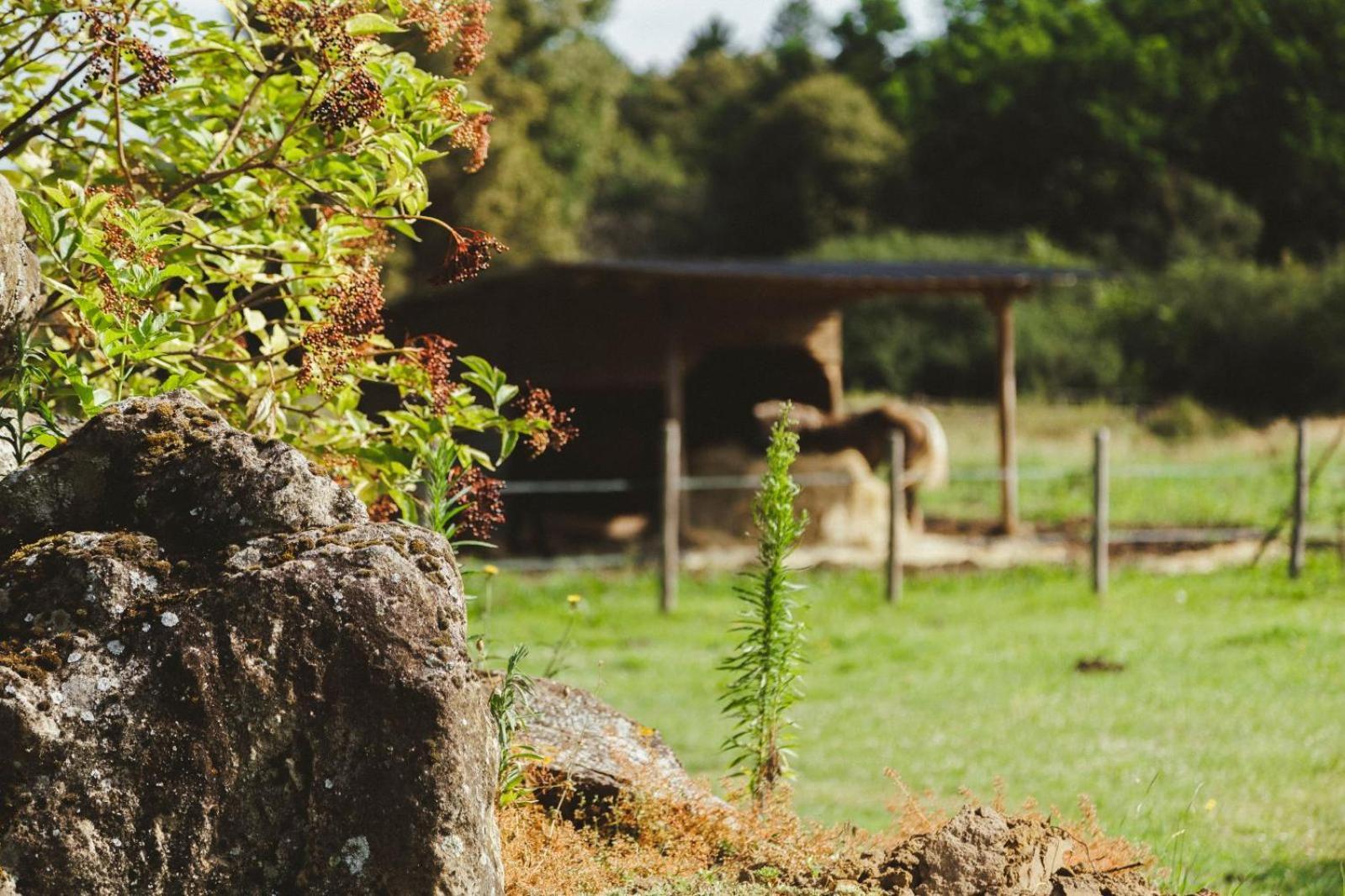 Hébergement de vacances Nuit Au Calme, En Pleine Nature Bagneux (Indre)