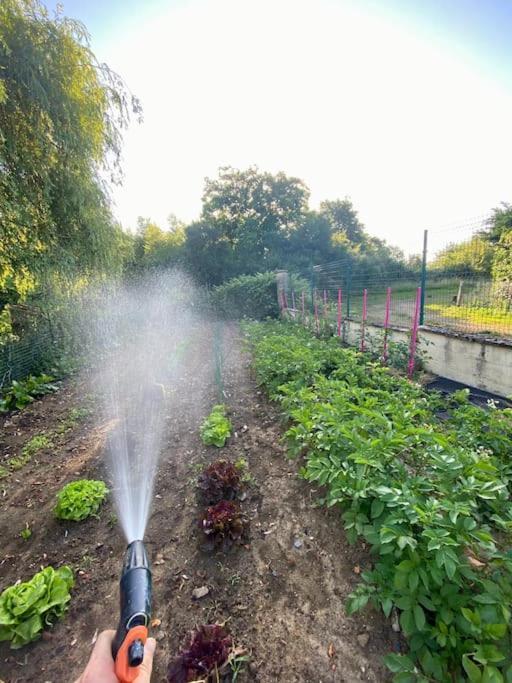 Hébergement de vacances Nuit Au Calme, En Pleine Nature Bagneux (Indre)