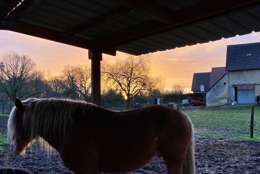 Nuit Au Calme, En Pleine Nature Bagneux (Indre)